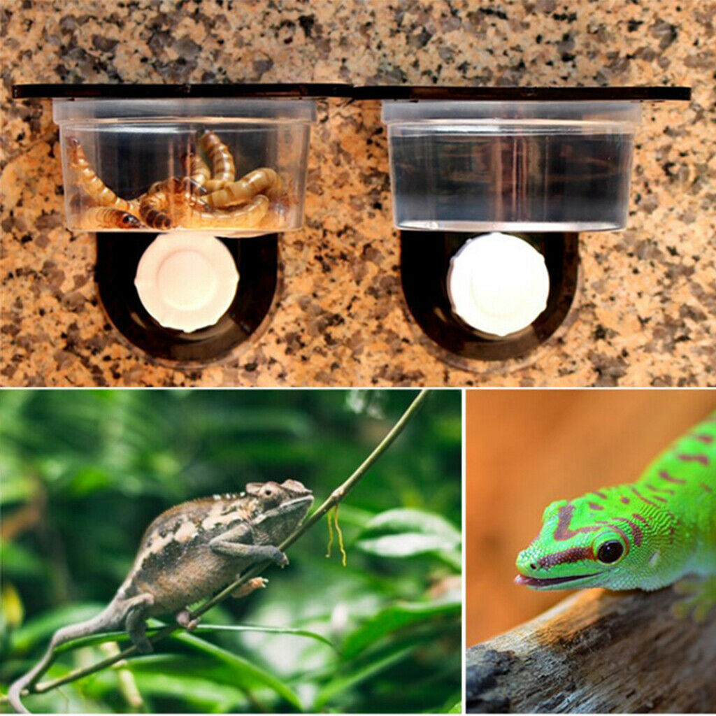 2-Count Reptile Feeding Dish Anti-Escape Reptile Food Water Bowl Feeder Bowls