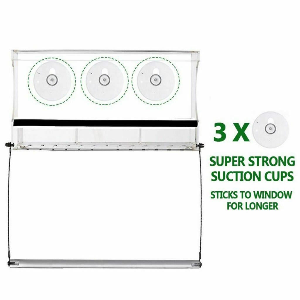 Window Bird Feeder Hummingbird Birdfeeder Birdhouse Kit Balcony Lanai Garden