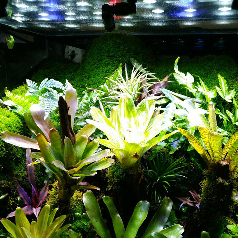 Reptiles Terrarium Nozzle Fogger Mist Sprinkler 360° Adjustable Aquari.l8