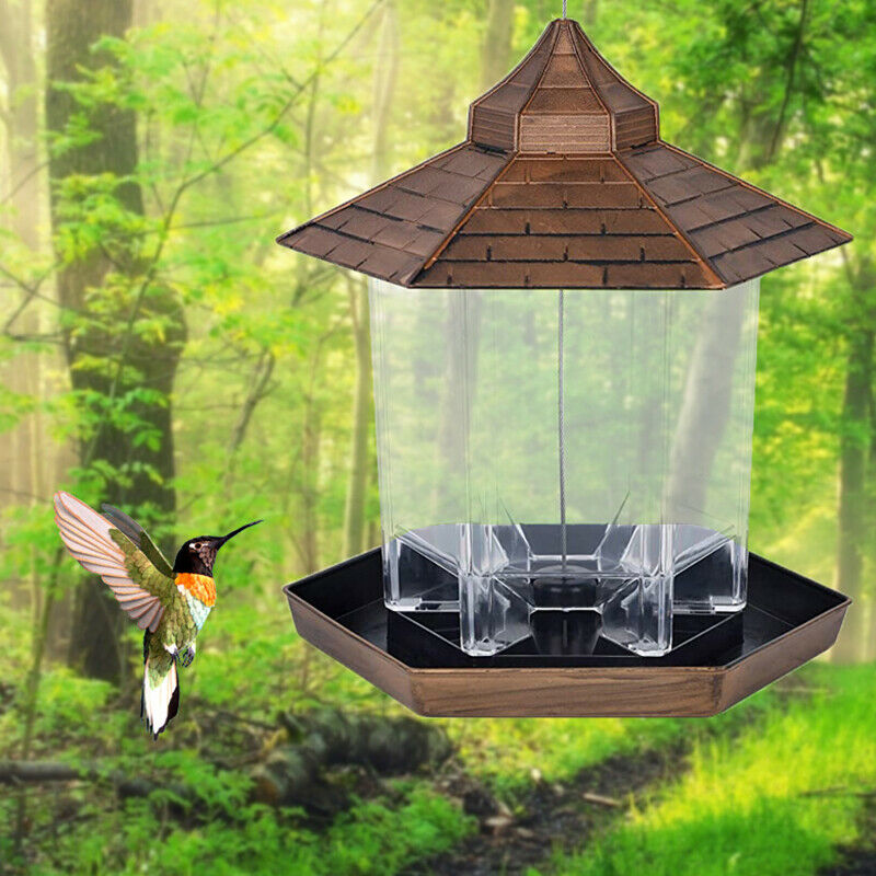 Bird Feeder Bottle Flower Shape Sensation  Coneflower Bird FeederB-qkWOAUDFAU