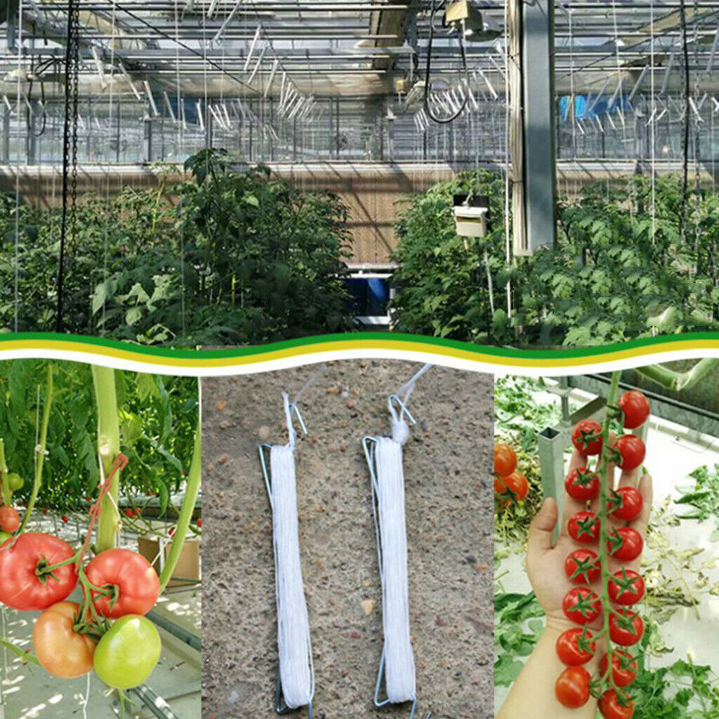 5Pack Tomato Hooks Support Clips For Planting Vegetable Cucumber Tomato