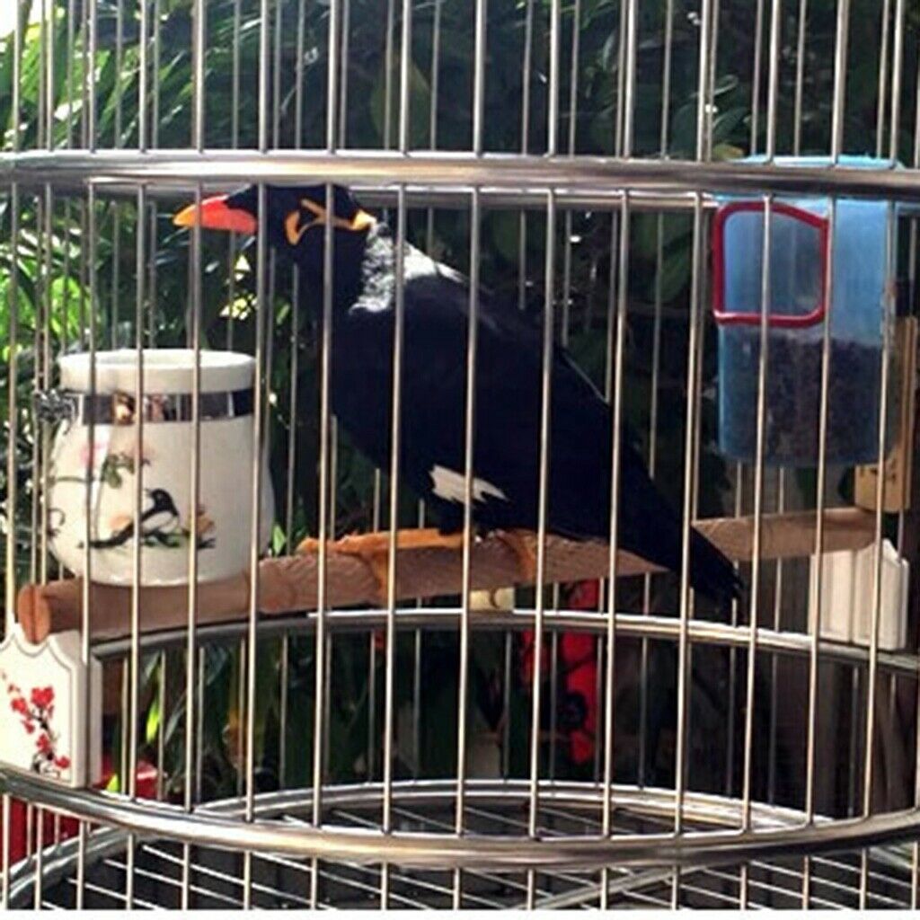 2 x Bird Feeding Cups, Ceramic Food Water Bowls Dish Feeder for Cockatiel Conure