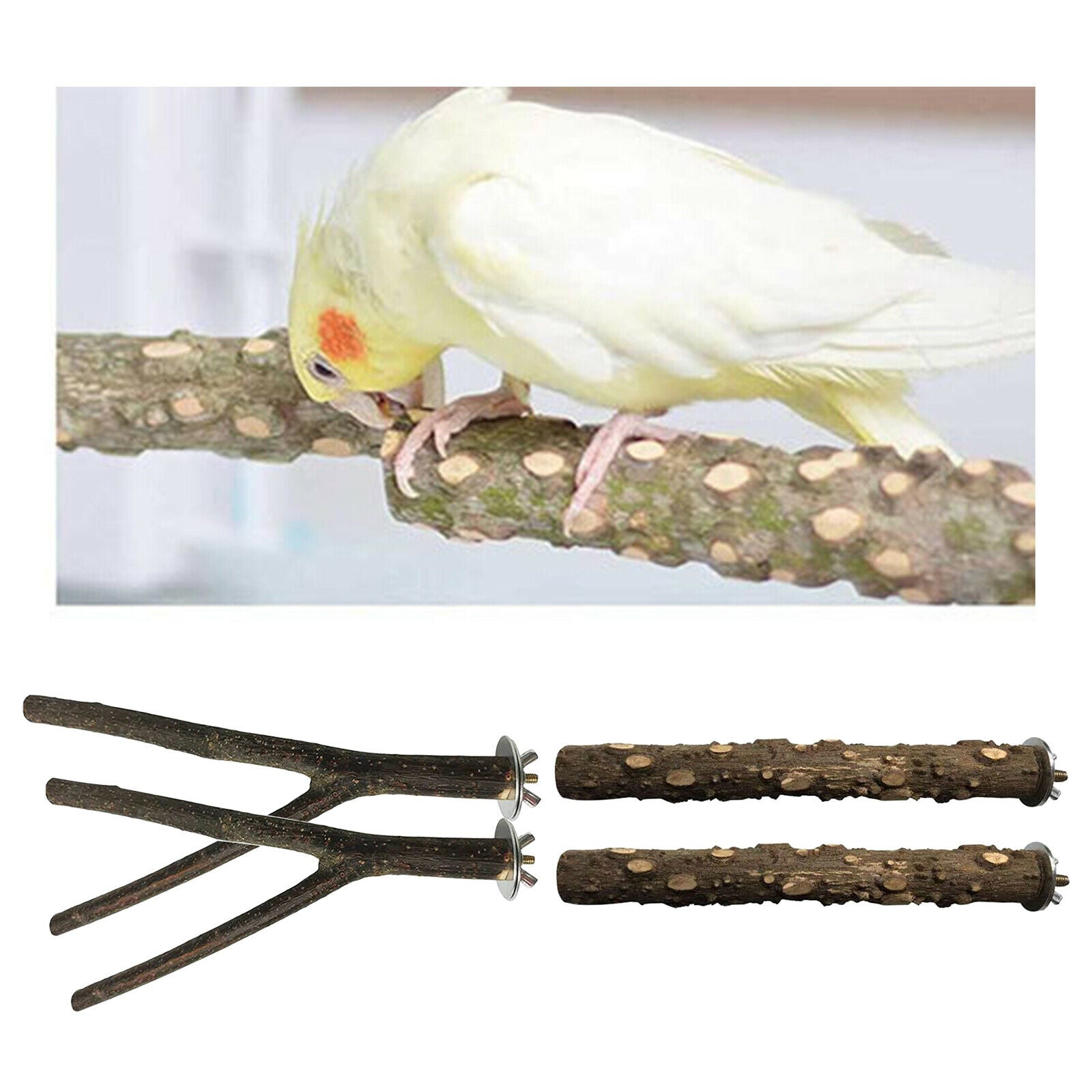 4pcs/set Parrot Bird Stand Tree Branch Platform Toys Perch Climbing Grinding