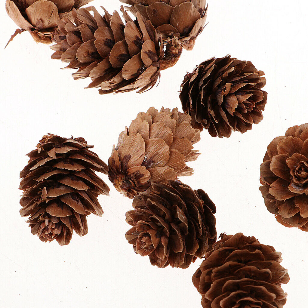 40 PCS Natural Real Dried Pinecones For Table Vase Bowl Filler Display Decor