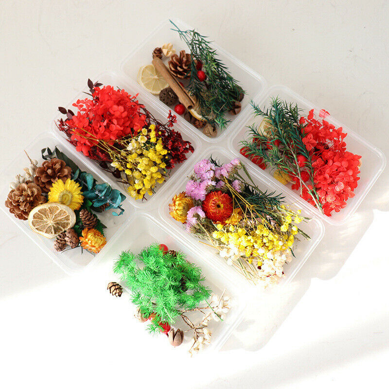 Real Dried Flowers For Diy Candle Making Jewellery Decorative Dry Press Flow KX
