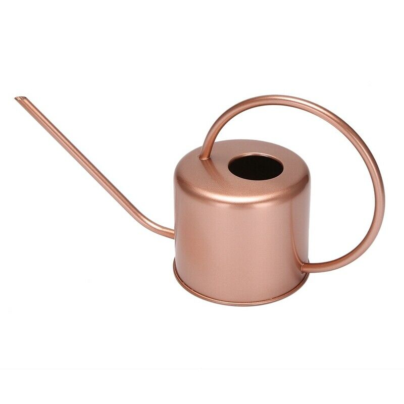 1300Ml Wate Can Metal Garden Stainless Steel for Home Flower Water Bottle EasyO9