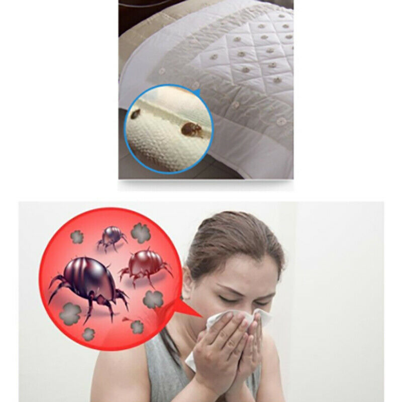 Anti-mite Pad for Home Killing Small Worms Household Worms Dust Mite.l8