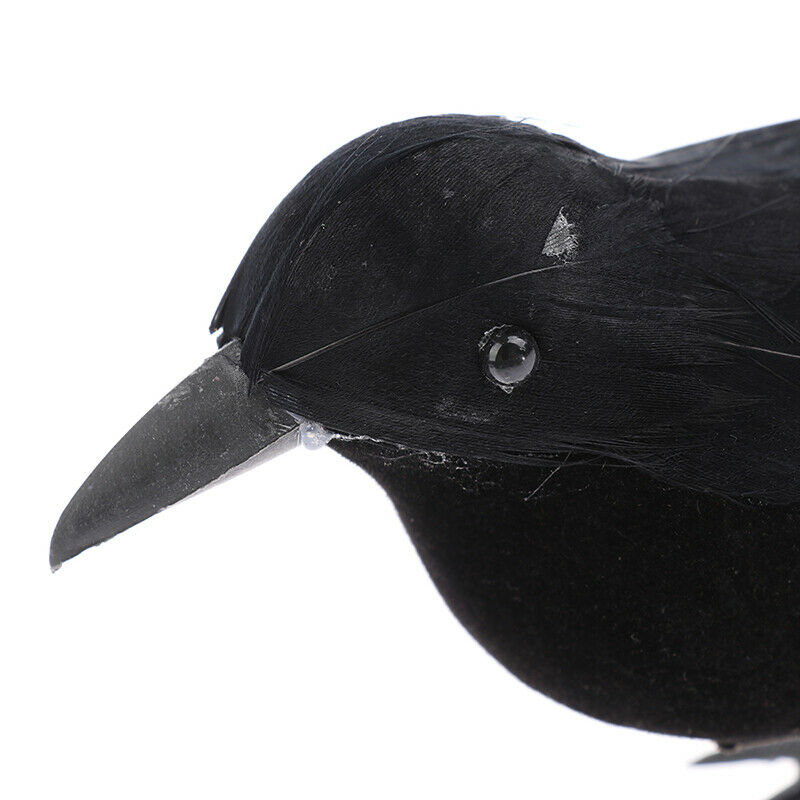Halloween Black Crow Props Realistic Raven Spooky Feathered Crows House D.l8