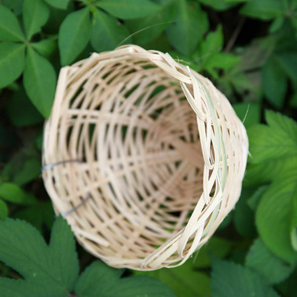 10pcs 4inch Canary Twig Birds Nest Handmade Hatching Breeding Nest with Hook