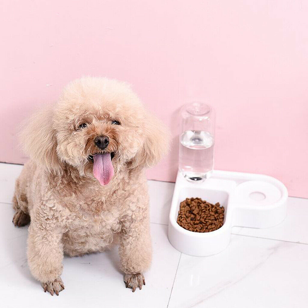 Cat Dog Feeder 2 In 1 Automatic Water Bowl And Food Bowl Double for Small Pet