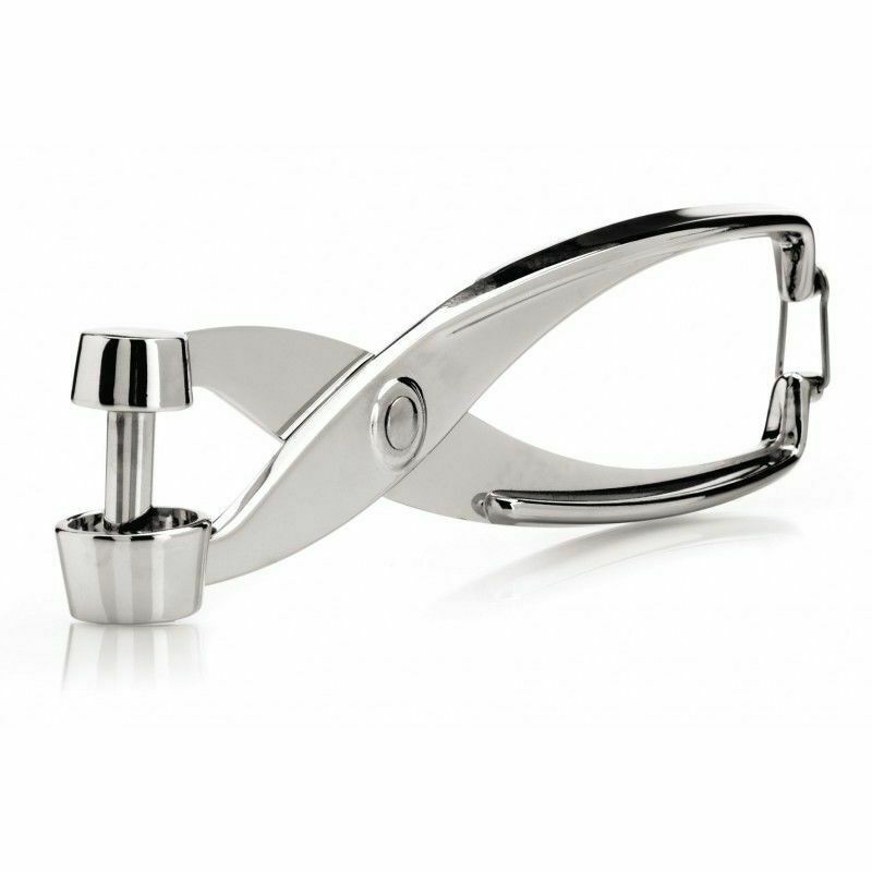 Handheld Cherry/Olive Pitter For Preserving Canning With Stem End Up Tool AU