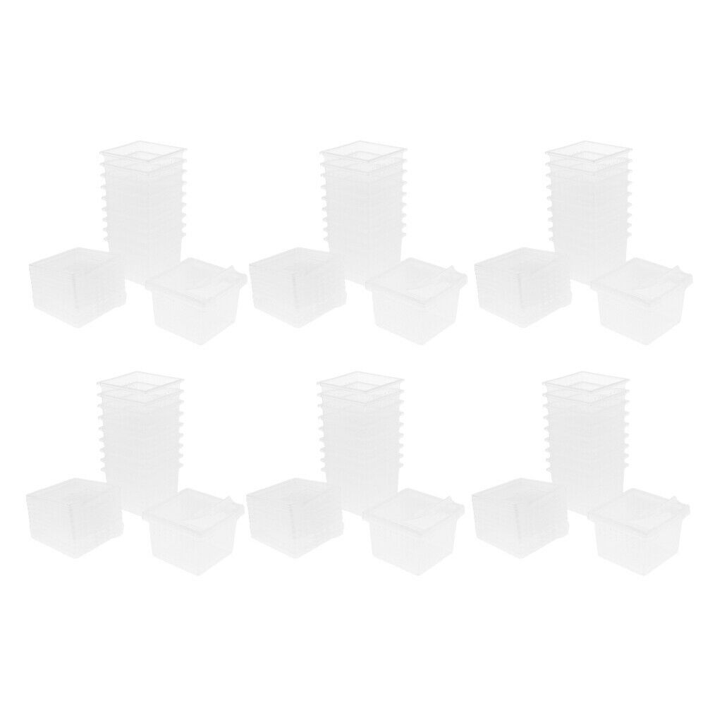 60pcs Reptile Lizards Feeding Box Turtle Feeding Box For Reptile Snakes