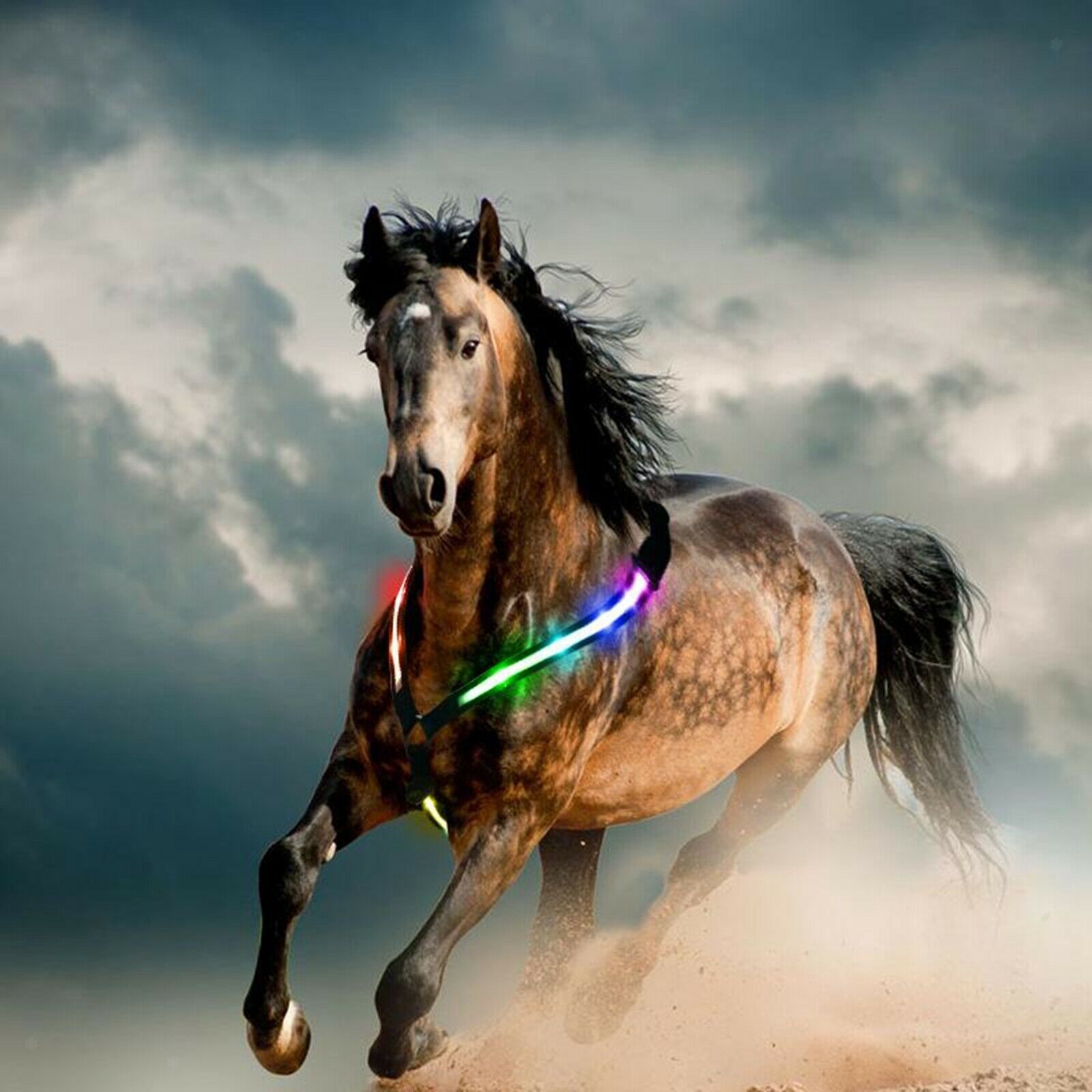 LED Horse Chest Collar Safety Reflective Equestrian Chest Collar Straps