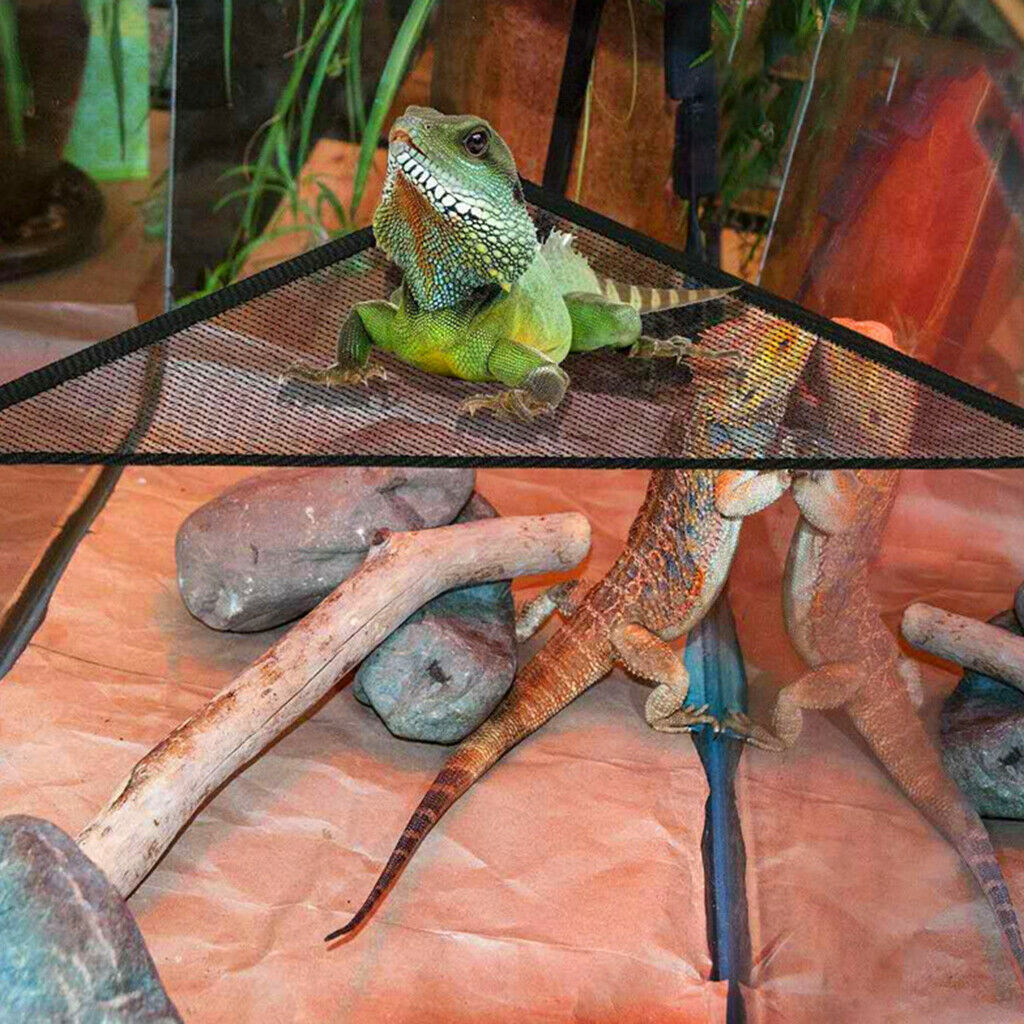 8x Lizard Leash Harness Hammock Reptile Comfort Lounger Bearded Dragon