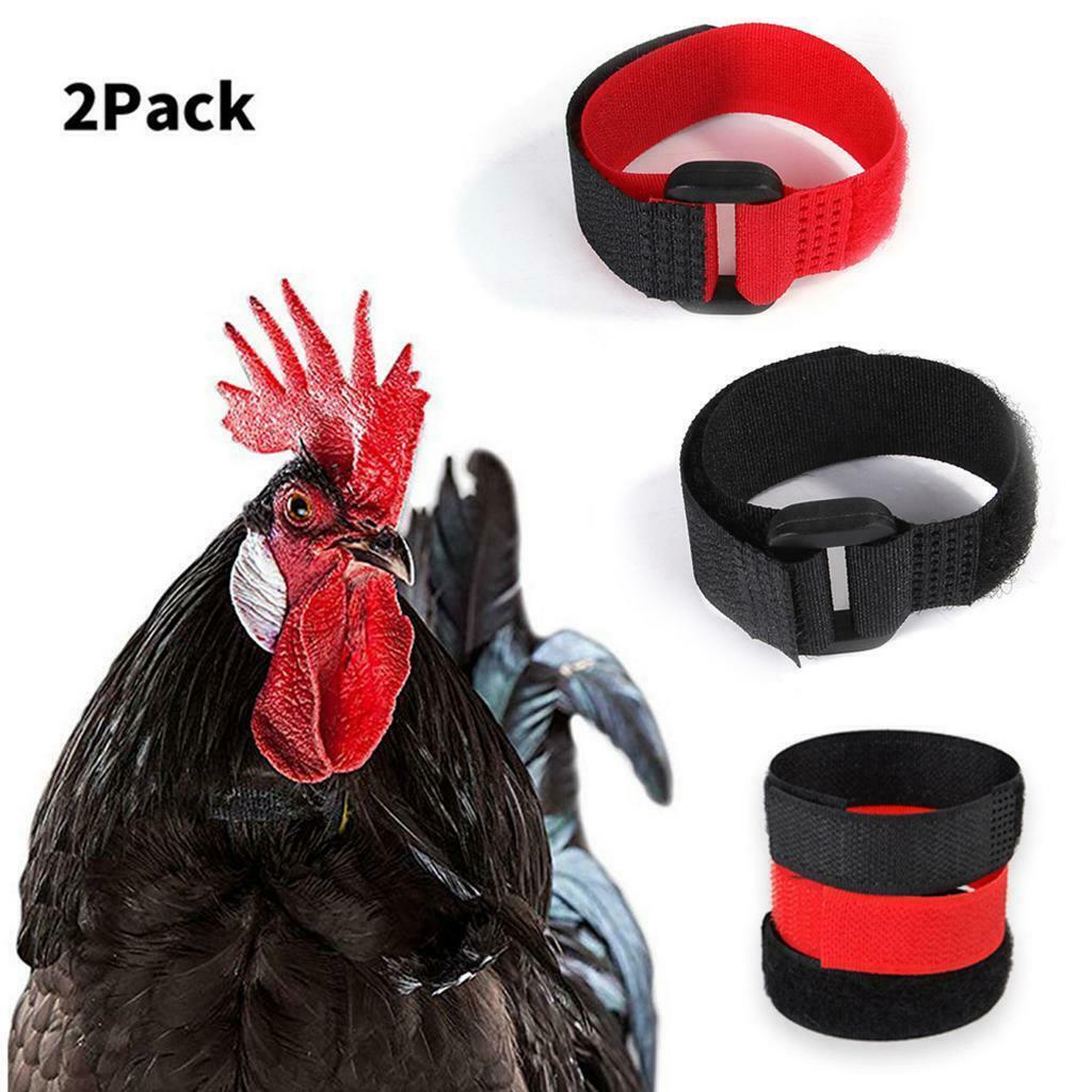 12pcs Rooster Collar Prevent Rooster from Screaming for Rooster Goose Black