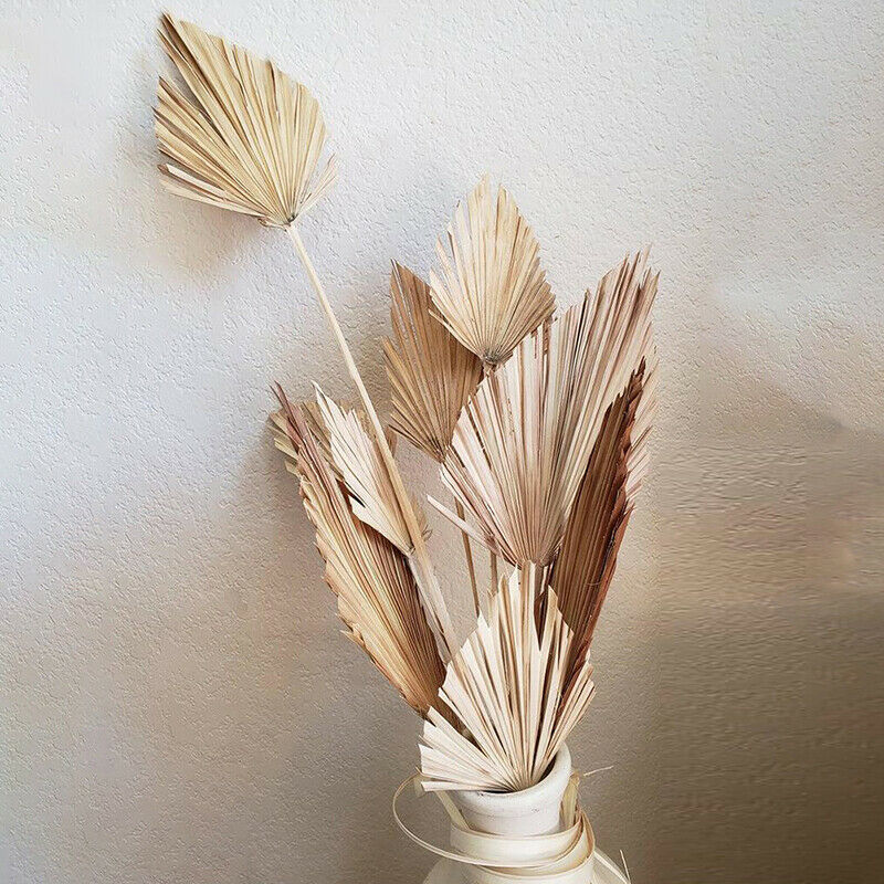 Palm Fan Leaf Dried Flower Palm Leaf Window Wedding Arch Arrangement Party A DF