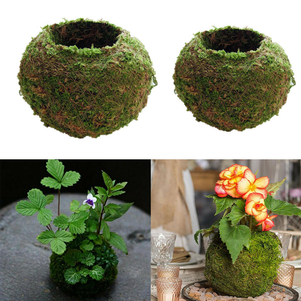 2pcs 9CM,12CM Moss Ball Flower Pot Planter Bonsai Plant Holder Home Garden
