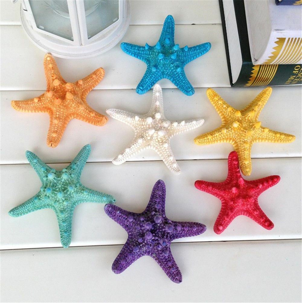 5 pcs Small Colorful Natural Starfish Crafts Decor For Micro Landscape Wedding