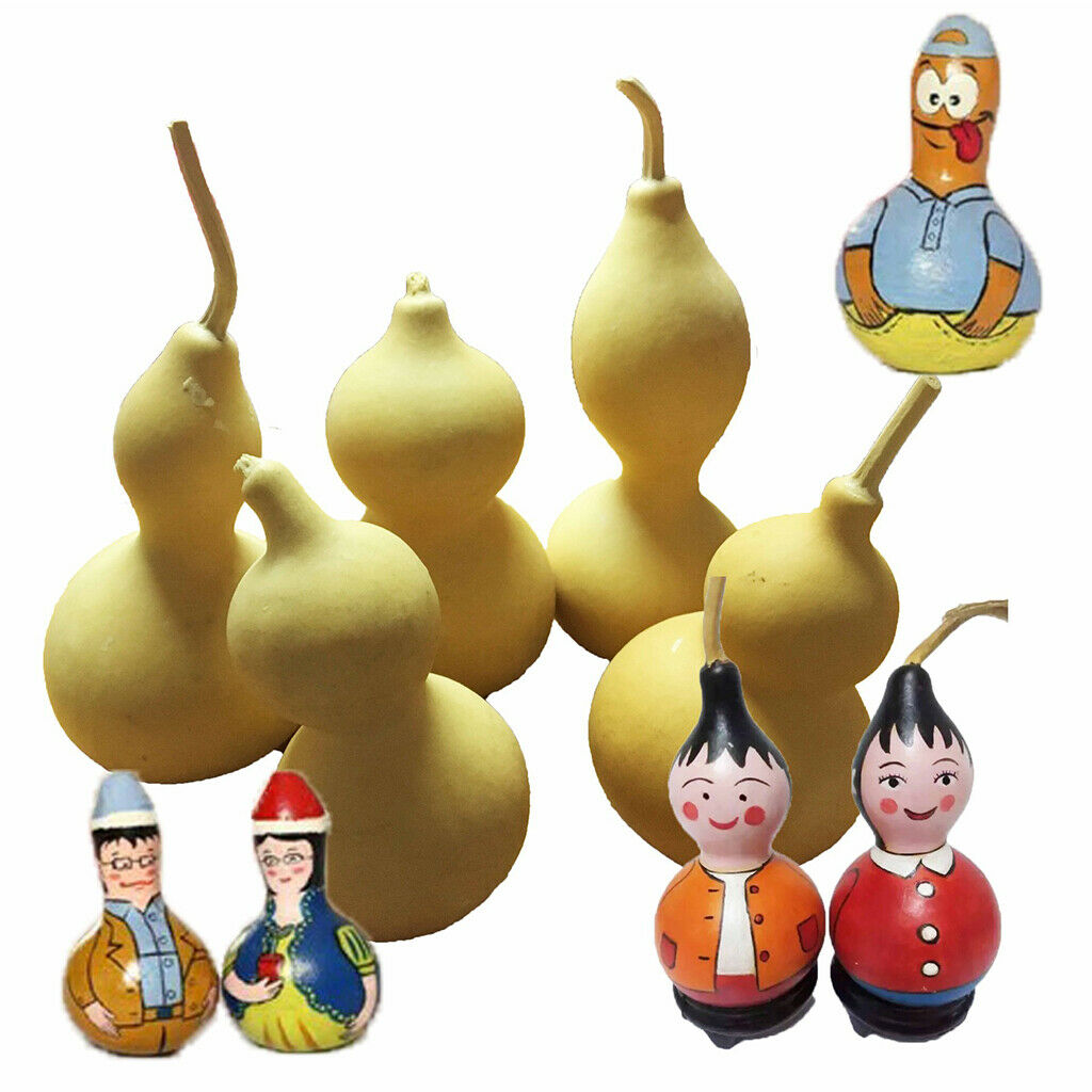 Natural Dried Gourd Fruit Crafts Home Table Accent Decor Ornament DIY Painting