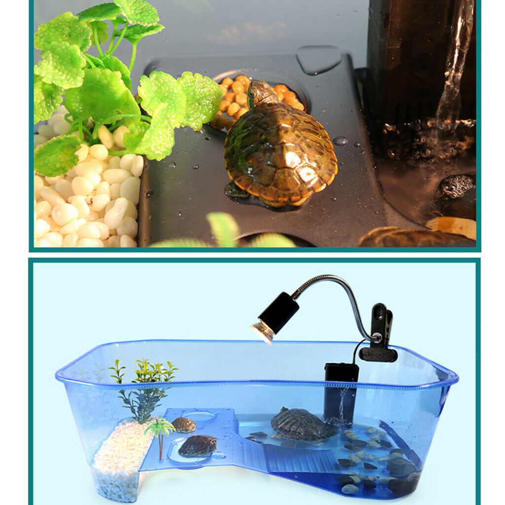 Blue Reptile Turtle Tank Vivarium Feeding Box With E27 Base Basking Lamp Holder