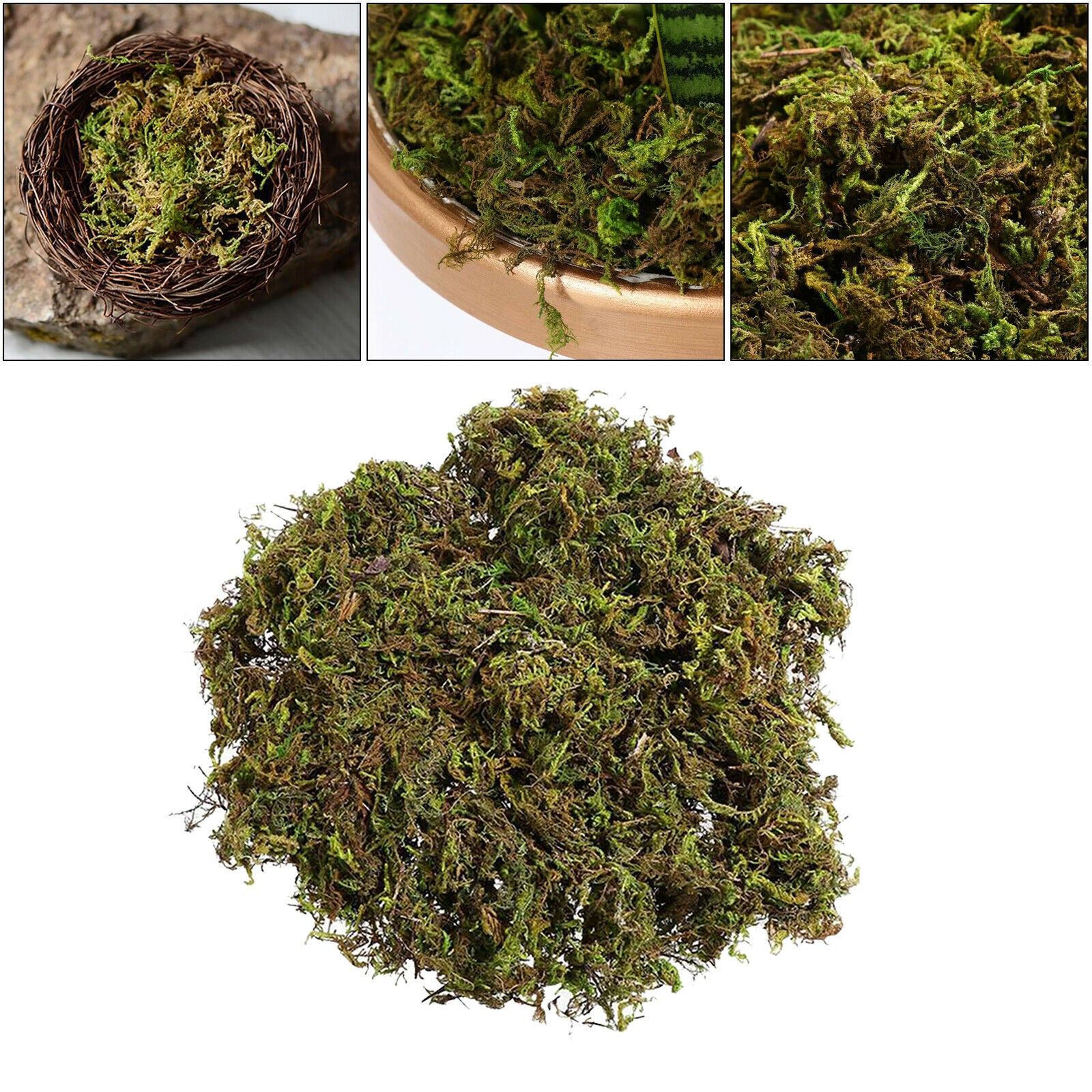 Artificial Dry Green Moss Lawn Flower Pot Decor Terrariums Arts Wedding