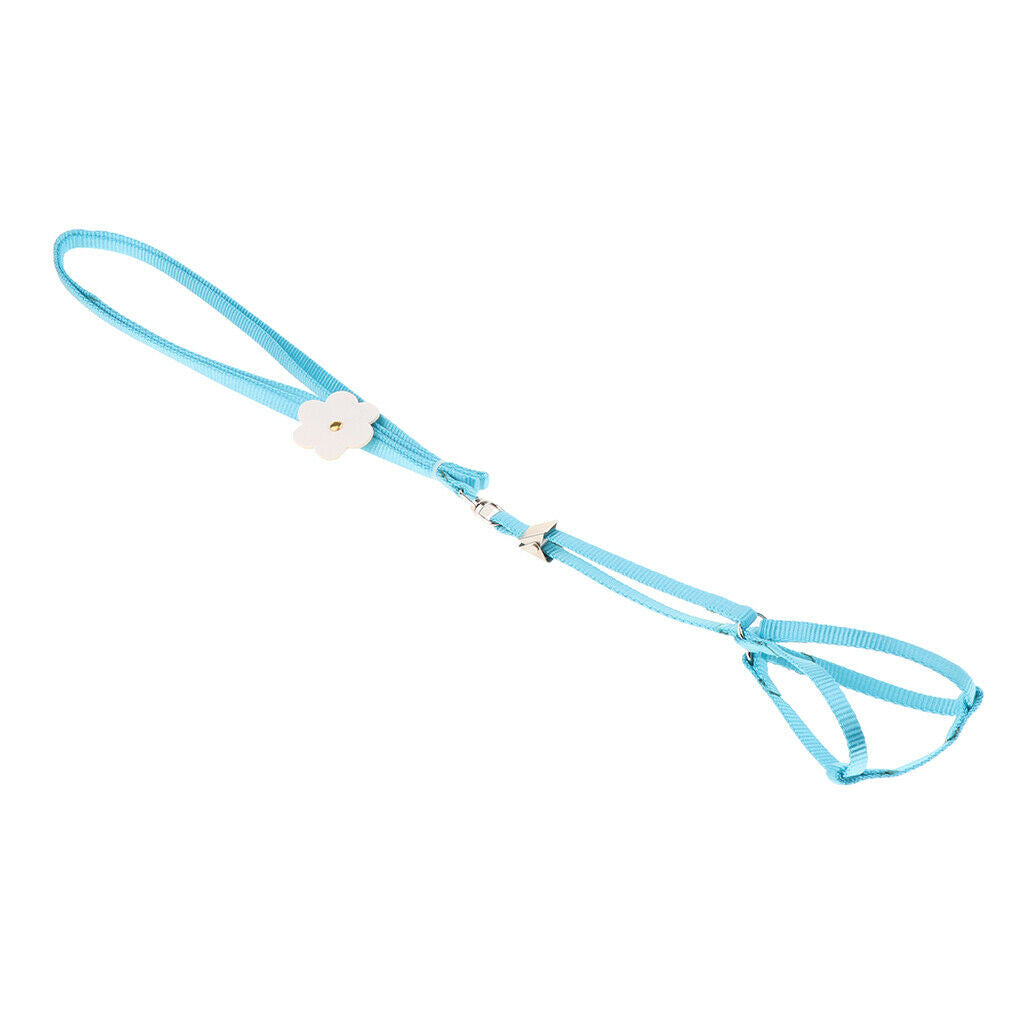 2 Pieces Safe Pet Rope Light Leash Carrying Durable Bird Rope Suitable for