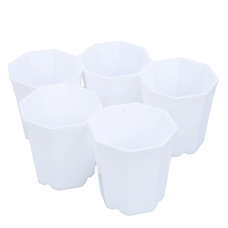 5Pcs Mini Plant Flower Pot Home Office Decor Plant Pot Home Flower SuppliesBDAU