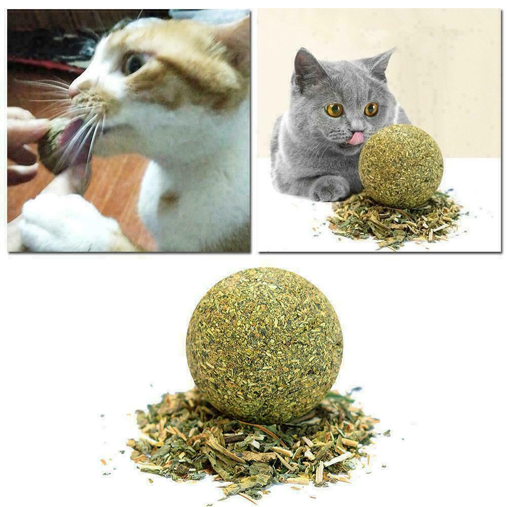 Cat Snack Catnip Ball Lick Nutrition Ball Molar Cleaning AU Cat Snacks