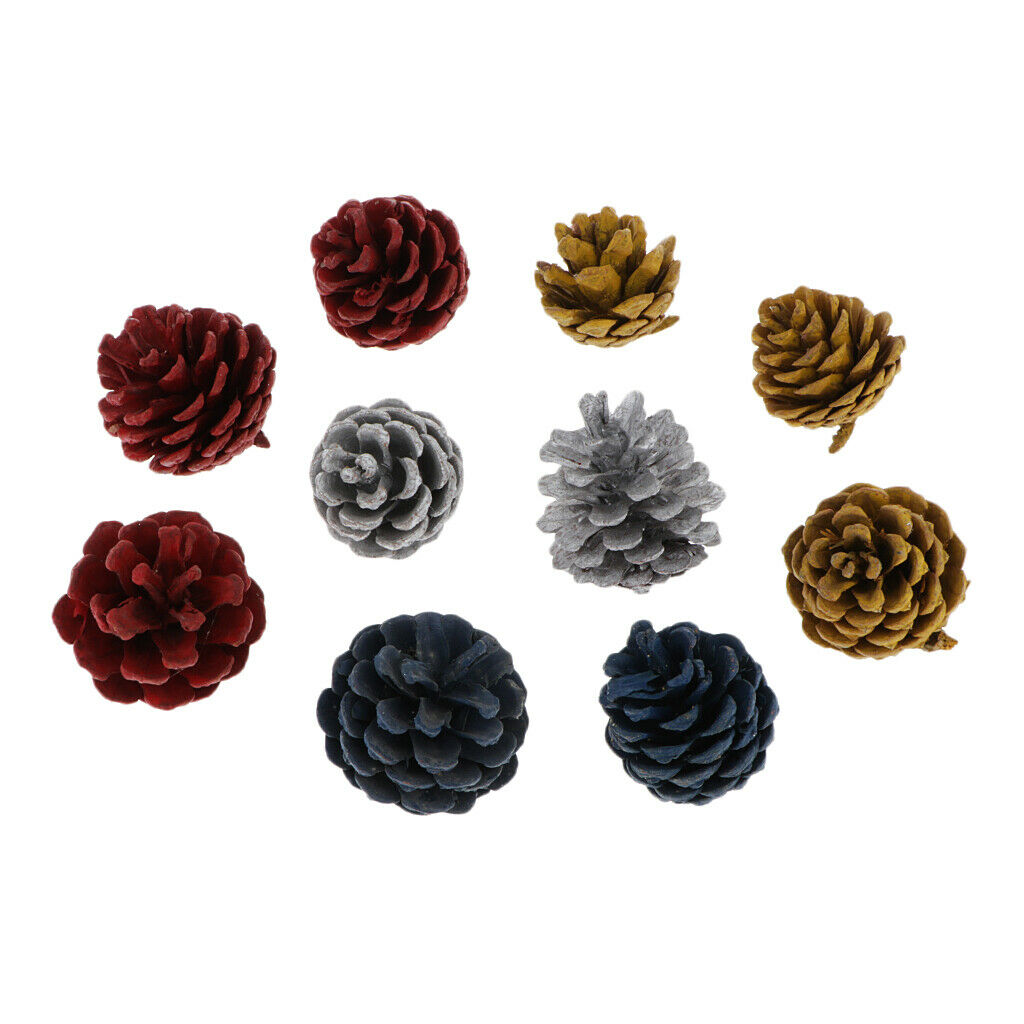 10pcs colorful real pine cone baubles decorations kids DIY festival hanging