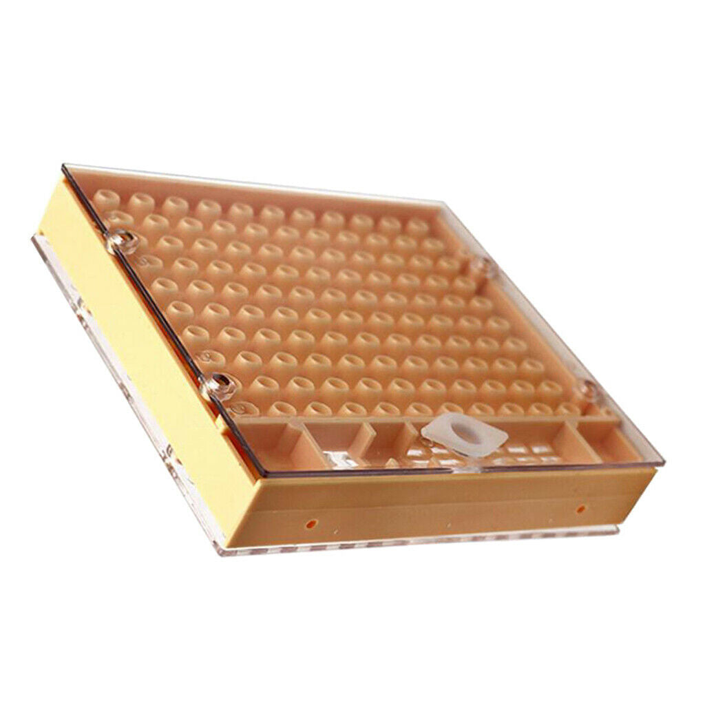 Beekeeping Bee Keeper Tools Breeding Queen Bee Cupkit Box System Beekeeping