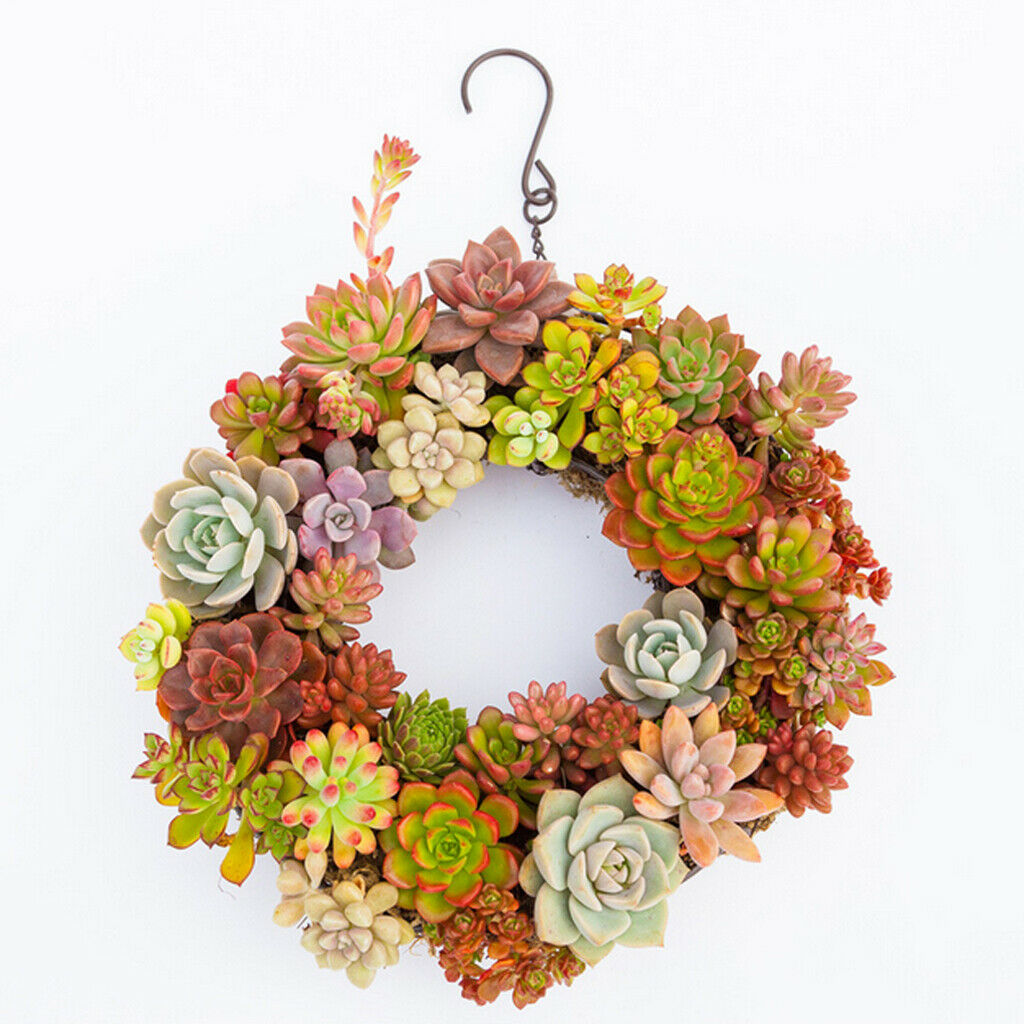 21cm Iron  Frame Wire Wreath Metal Planter Wall Art Craft DIY Decoration
