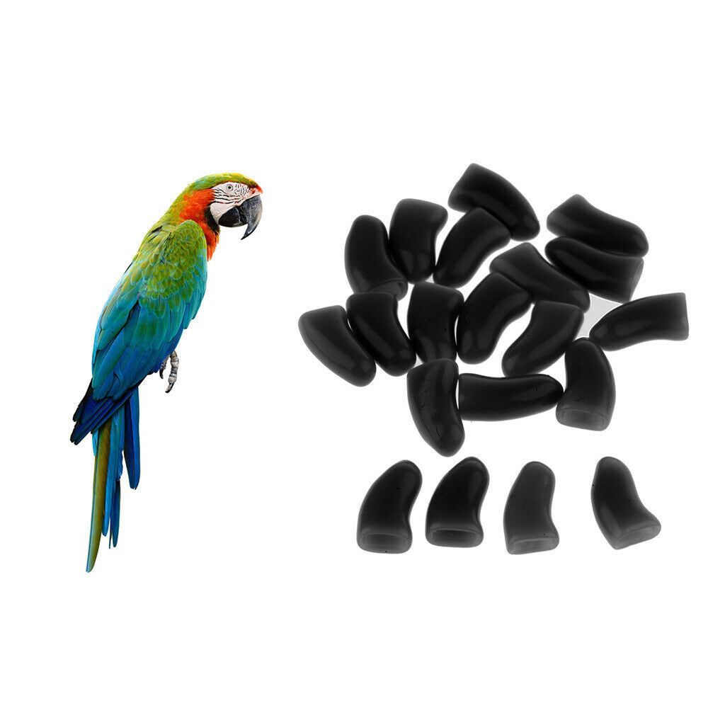 20 Pieces Soft Claws Paw Care Covers For Pet Cat Kiteen M