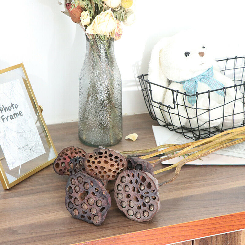 1Pc Lotus Natural Dried Flowers Farmhouse Bouquet Plant Branch Fall Decor.l8
