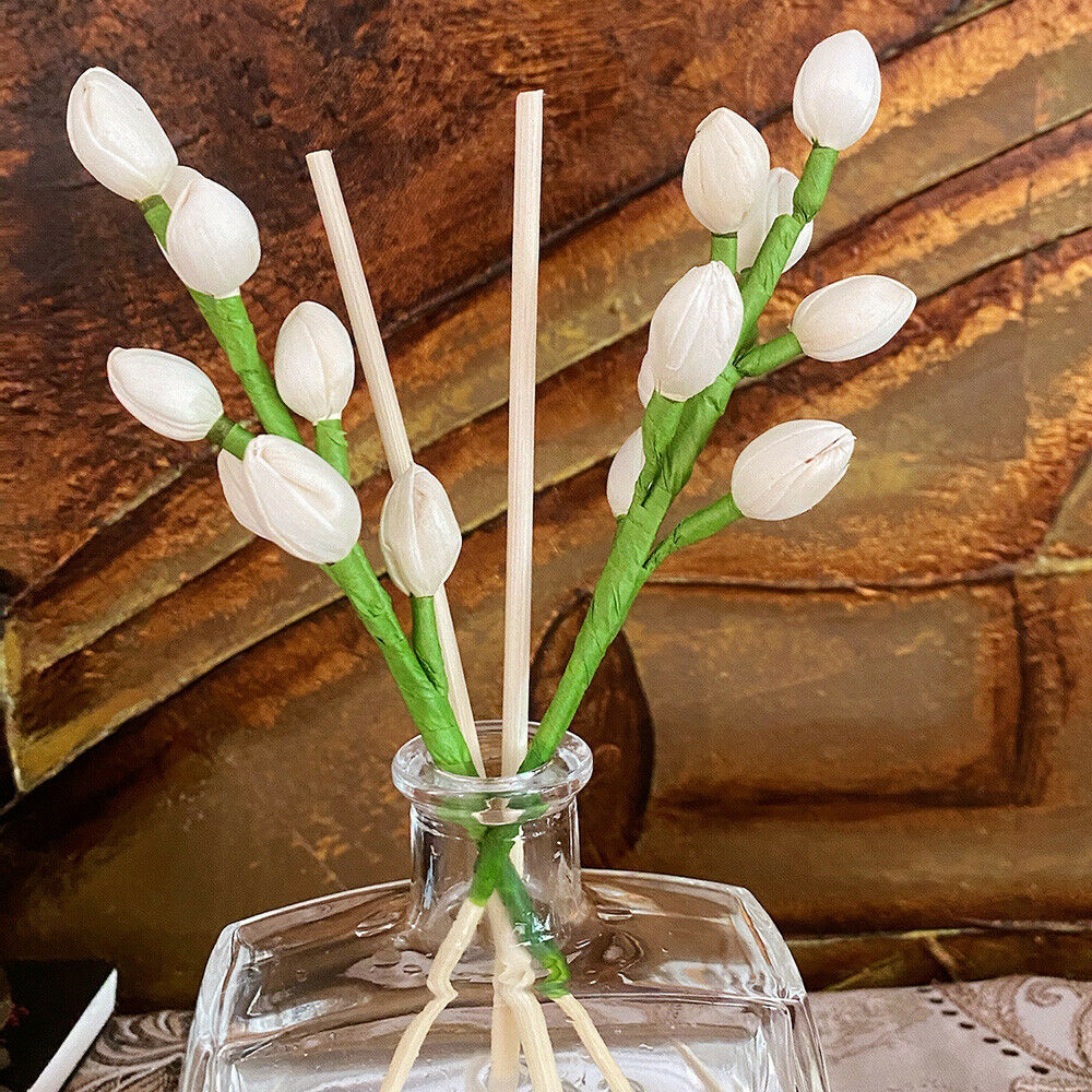 2X Dried Flower Rattan Reed Diffuser Stick Willow Bud Essential Oil Refill Decor