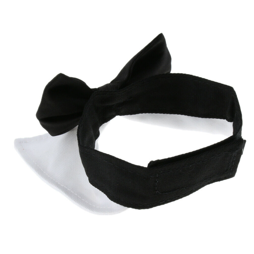Adjustable Pet Dog Collar Special Designed Collars for Dogs Cats White S