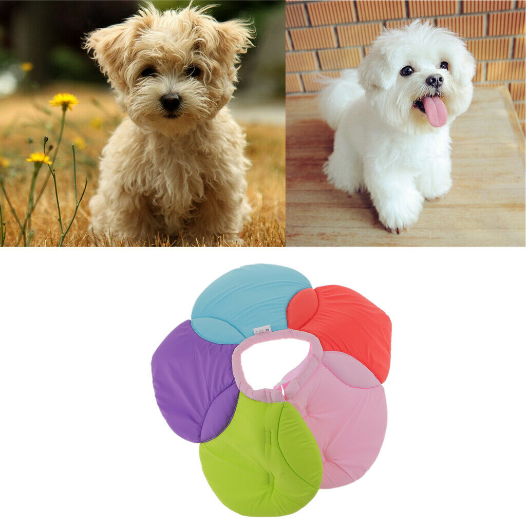 Floral Dog Cat Elizabethan Collar Recovery Floral Cone Collar XL Rainbow