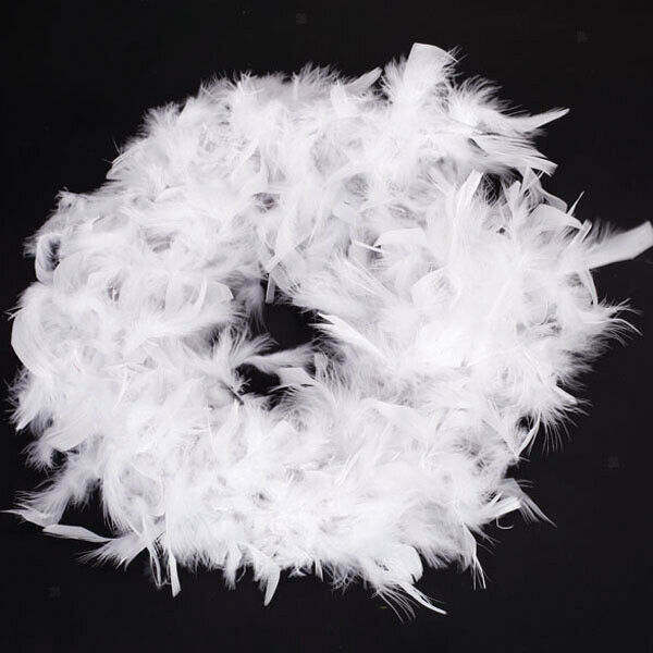 White Feather   Craft Decoration 6.6 Feet Long