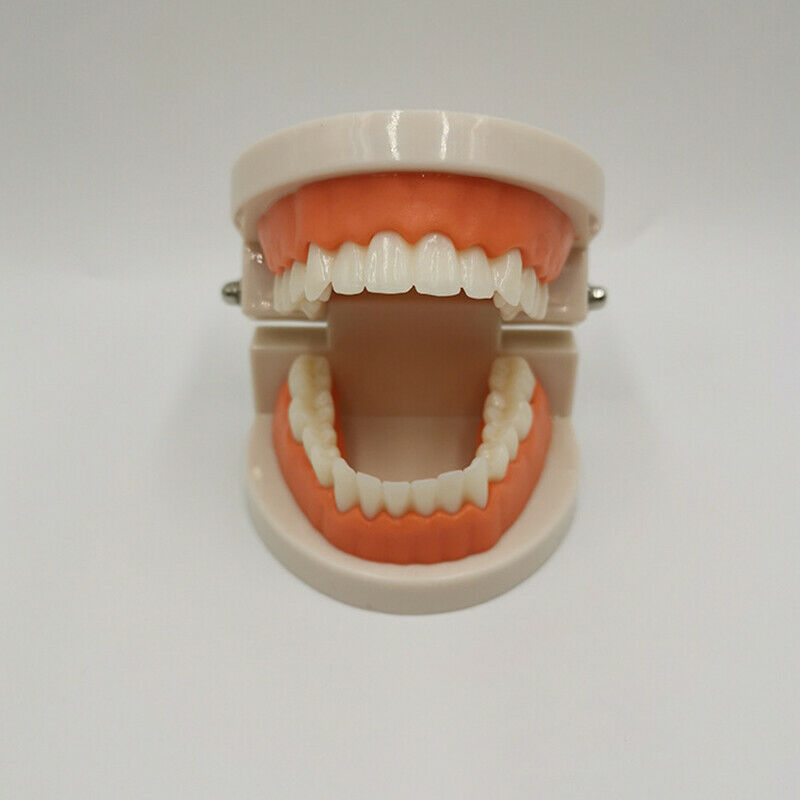Educational Toys for Children Kids Intelligence Brushing Tooth Teaching AidsFCA