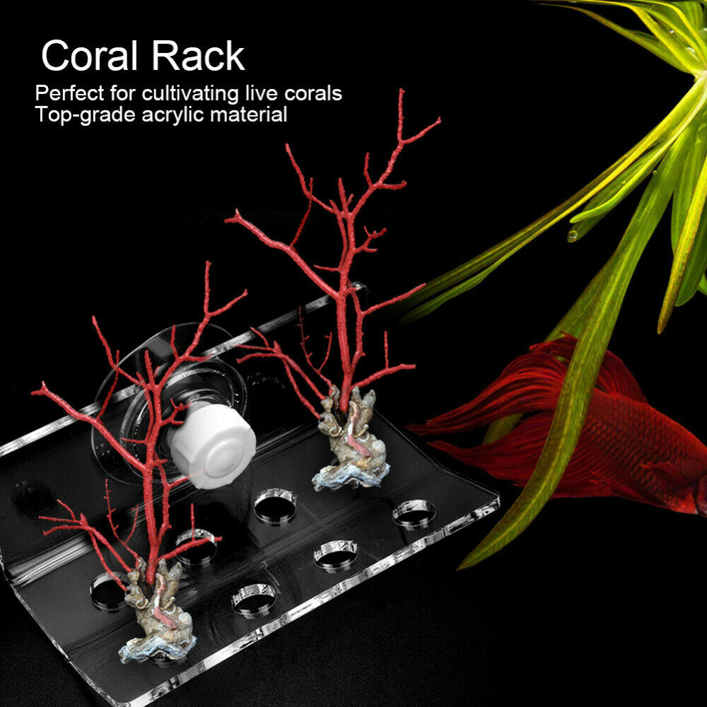 Aquarium Acrylic Coral Rack Fish Tank Coral Frag Holder Bracket W/ Suction Cup