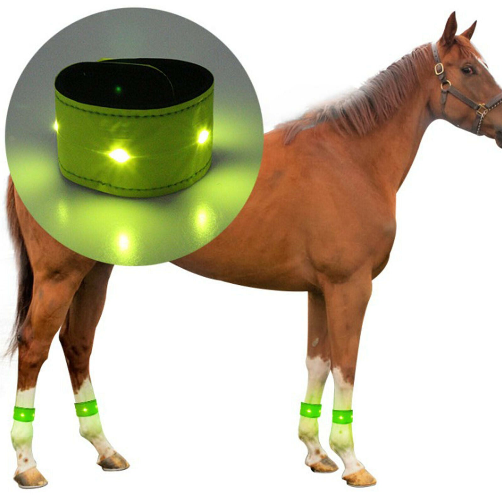 LED Horse Leg Strap Legging Wraps Ankle Legging Decor Equestrian Supply Outdoor
