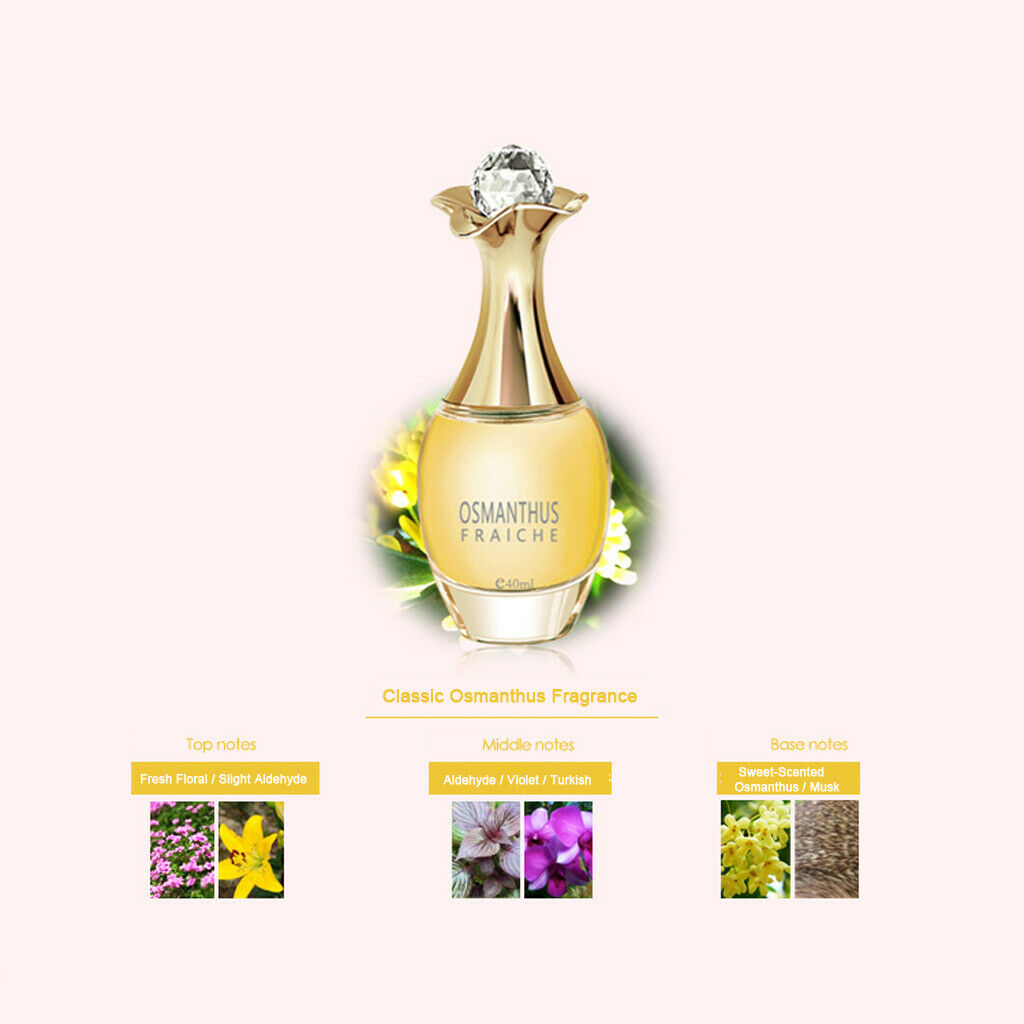 3 Pack 1.4oz Female Fruit Perfume Fragrances Spray for Business Wedding Work