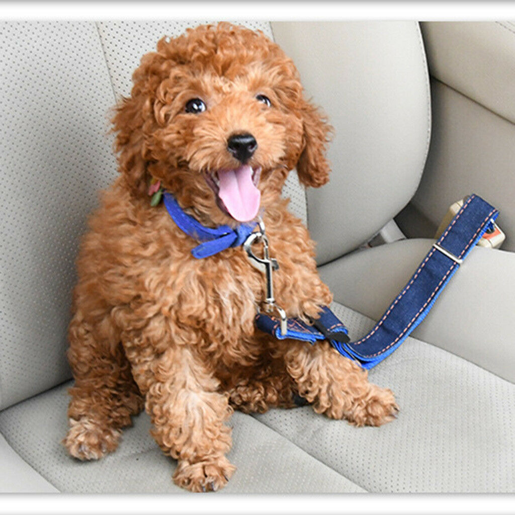 Adjustable Pet Cat Dog Car Seat Belt Safety Restraint Harness Clip Lead Red