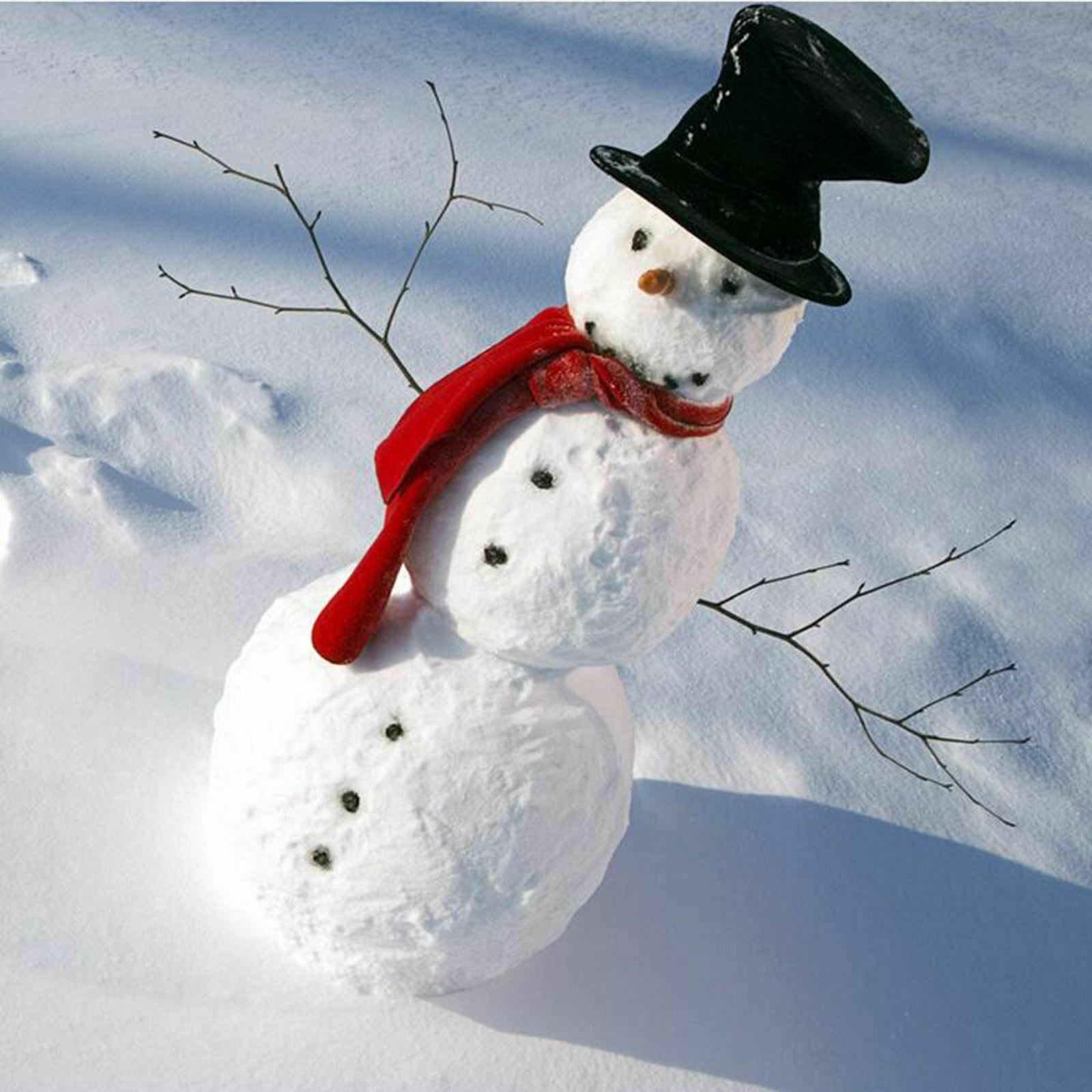 Snowman Kit Hat Scarf Eyes Hands Snowman Christmas Holiday Party