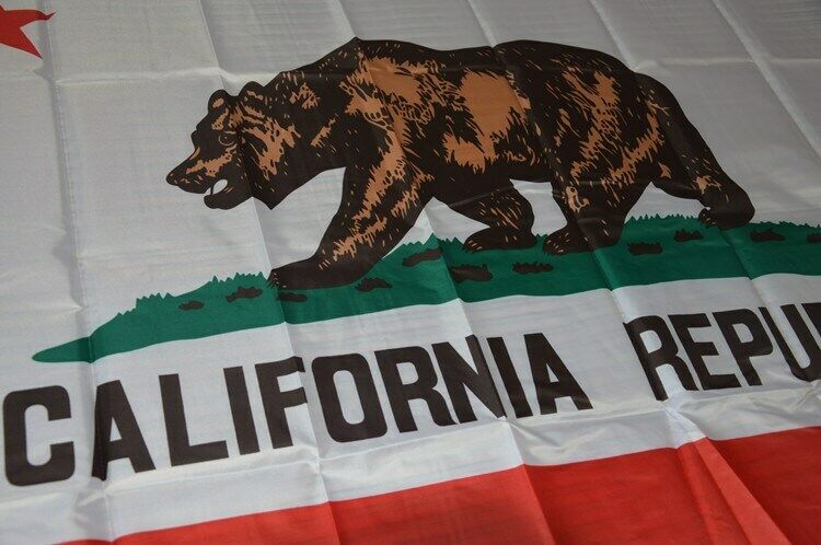 State of California Republic BIG Flag 3x5FT Polyester Indoor Outdoor US