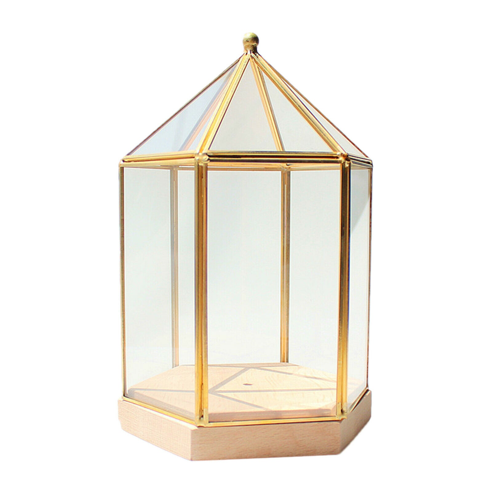 Modern Glass Wood Firefly Lights Shade Vase for Greenhouse Bar Club Decor