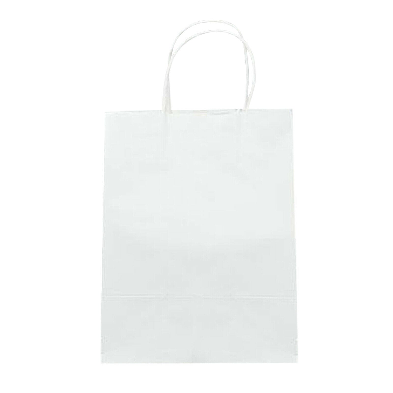 Gift Bag Party Present Goody Favor Bags Business Retail Bags 15x8x21cm