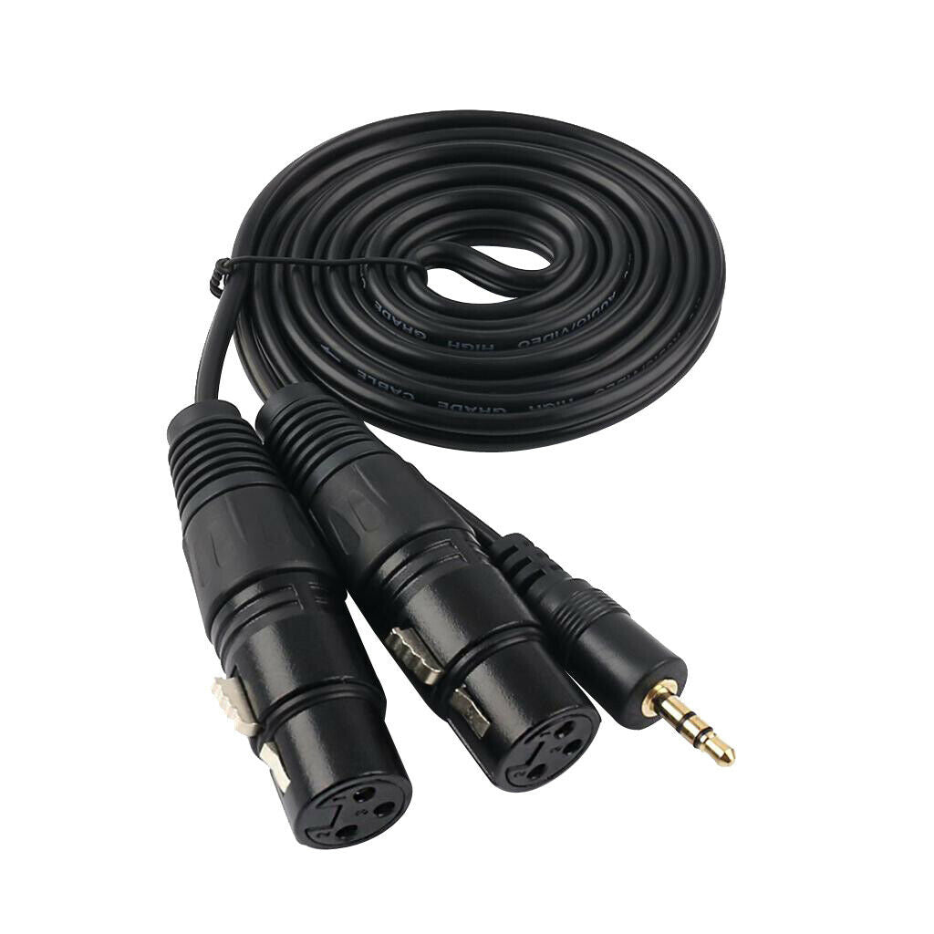 3.5 Mm (1/8Inch) Mini Jack Stereo TRS To Dual XLR Splitter Adapter Cable