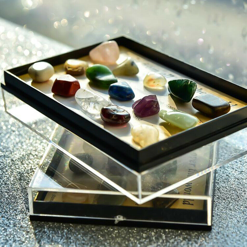 15 Rough & Polished Mineral Stone Set Education Specimen Kit in Wooden Box