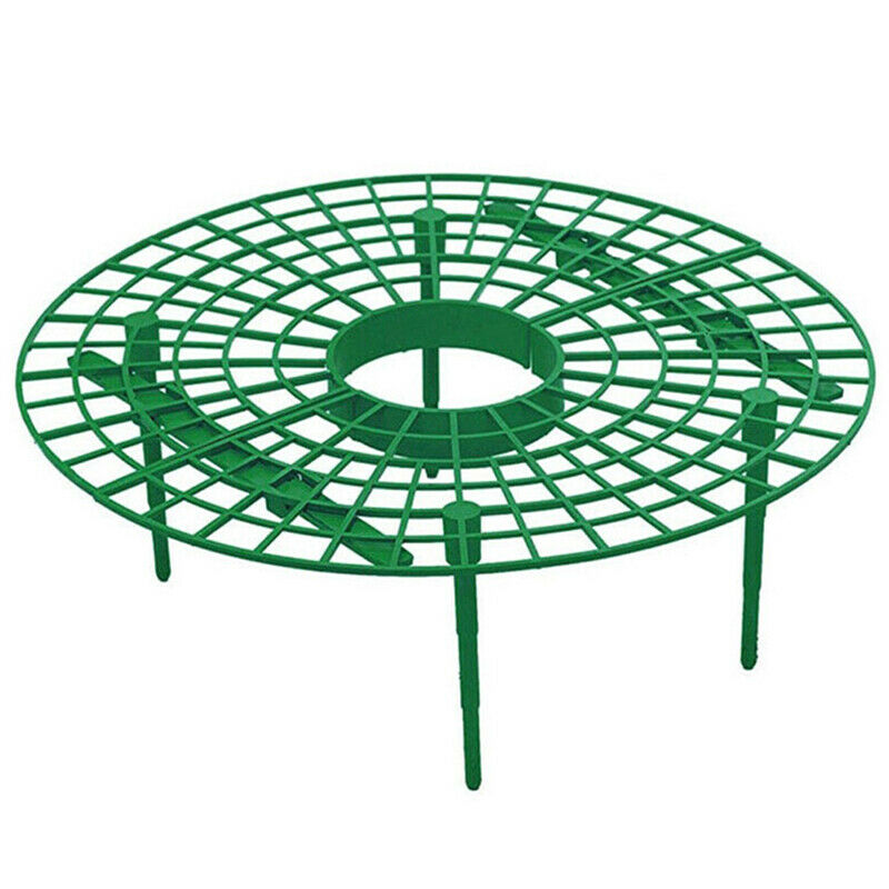 Strawberry Planting Rack Fruit Support Plant Climbing Vine Props Flower P.l8