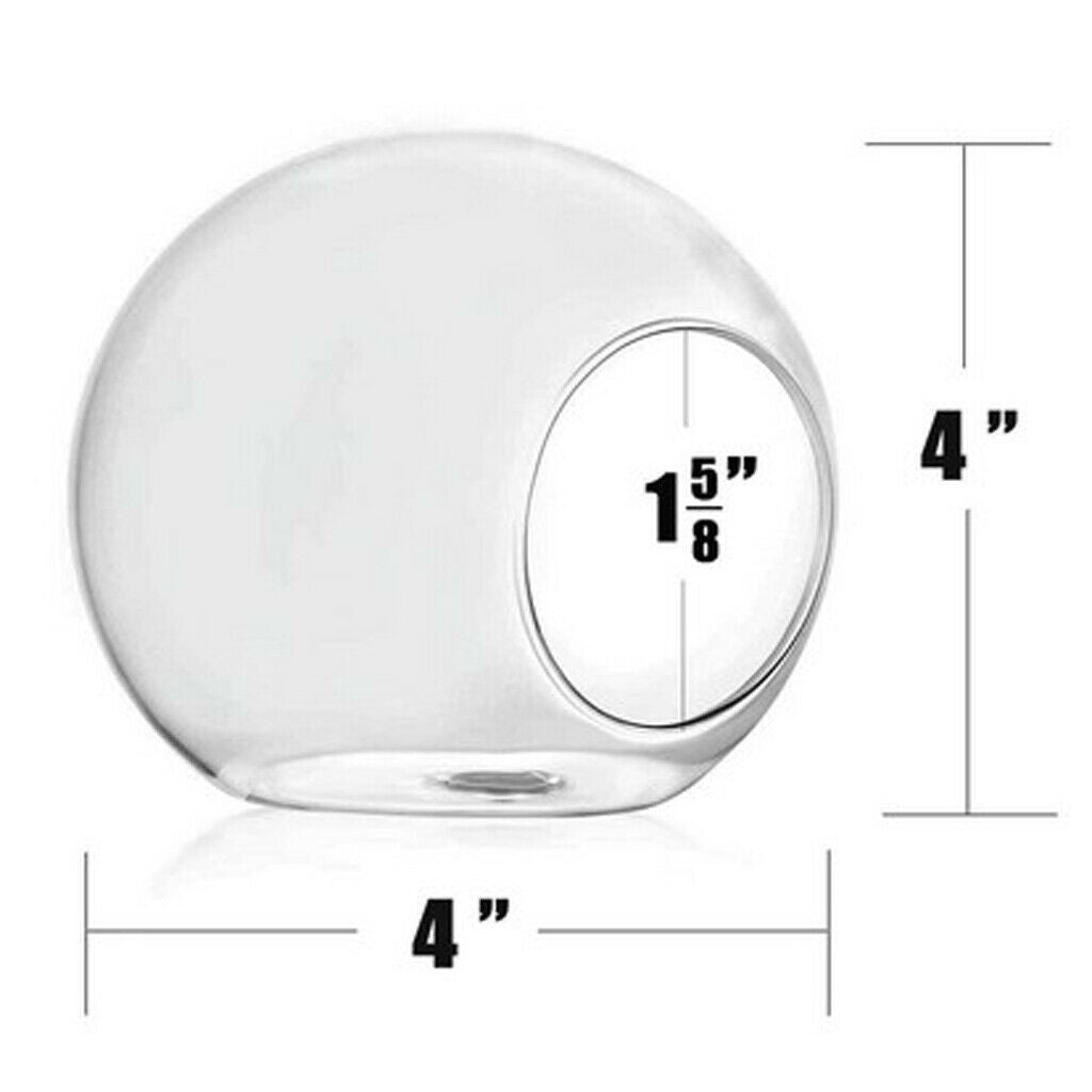 8 x Glass Hydroponic Pot Hanging Planter Flower Vase Wall Art Ornament